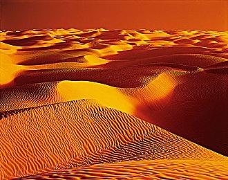 《我的世界》即将开启新年庆祝活动 推出免费新皮肤和地图