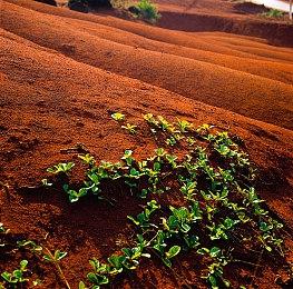 《伊苏回忆录：菲尔迦纳的誓约》宣布5月23日登陆PS 售价215元