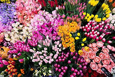 《女神异闻录３：Reload》“埃癸斯篇”新预告 9月10日上线