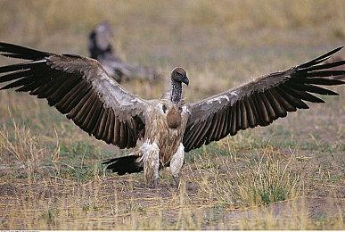 PS公布全新游戏阵容短片 多款大作亮相